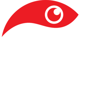 White IDSG LOGO Full