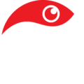 White IDSG LOGO Full